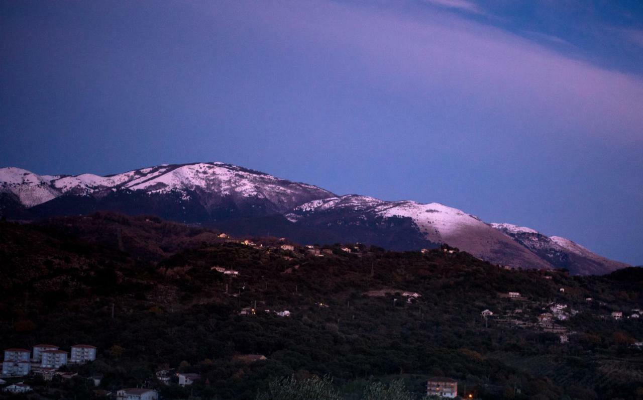 Le Voyageur Cilento Bed & Breakfast Vibonati Eksteriør bilde